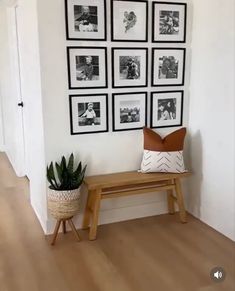 a wooden bench sitting in front of a wall with pictures on it and a potted plant