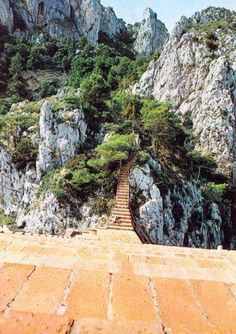 steps leading up to the top of a mountain with trees growing out of it's sides