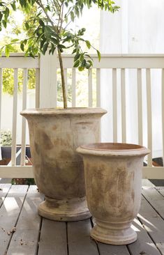 two potted plants sitting on top of a wooden deck