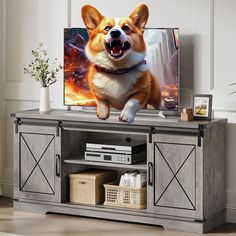 a dog is standing on top of a tv stand with its mouth open and it's tongue out