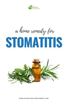 Home Remedy for Stomatitis with a Simple Basil Oil Cure #stomatitis #stomatitistreatment #stomatitishomeremedy #stomatitishomeremedies #stomatitisremedies #stomatitisremedy #stomatitiscure #treatstomatitis #healstomatitis Basil Oil, Simple House, Recipe Of The Day, Cavities, How To Stay Healthy