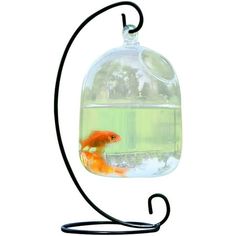 Description: This vase fishbowl has a hanging hole and bracket design. It can be placed in the bedroom, kitchen, and living room as a decorative item. Equipped with a transparent design, it is very suitable to put flowers, plants, goldfish and other items as decoration, and can also be used as a candle holder or tea light to add sweetness and warmth to dinner. The glass bottle is made of glass material, and the bracket is made of metal material. The length of the vase fishbowl is 15cm, and the w Round Fish Tank, Desk Hanging, Hanging Glass Vase, Aquarium Lamp, Glass Fish Bowl, Fish Tank Stand, Small Fish Tanks, Fish Tank Design, Fish Vase