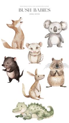 watercolor animals and their babies are shown in this image with the words bush babies on it