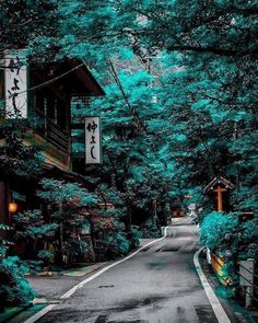 an empty street in the middle of a forest with trees and lanterns hanging from it's sides