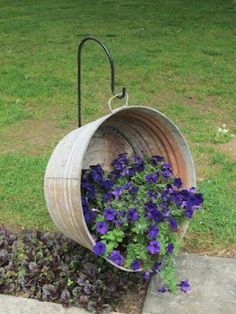 some purple flowers are growing in a bucket