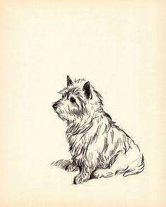 a black and white drawing of a dog sitting on the ground with it's head turned to the side