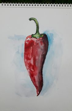 a drawing of a red pepper on white paper