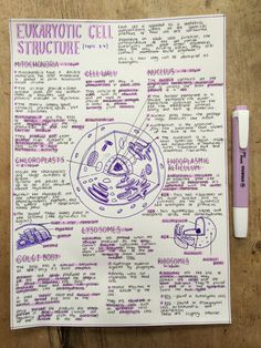 a paper with some writing on it and a pen next to it that says eukartotic cell structure