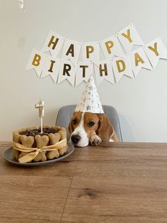 a dog sitting at a table with a birthday hat on it's head next to a cake