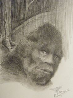 a drawing of an oranguel hanging from a tree with its head on the ground