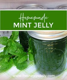 homemade mint jelly in a mason jar with fresh mints on the side and text overlay that reads homemade mint jelly