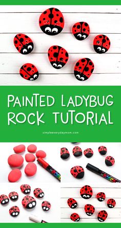 painted ladybug rock art project for kids to do with rocks and paint them red