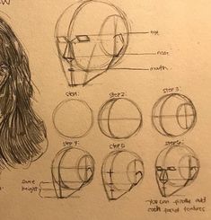 a drawing of a woman's head with various facial shapes and hairline options