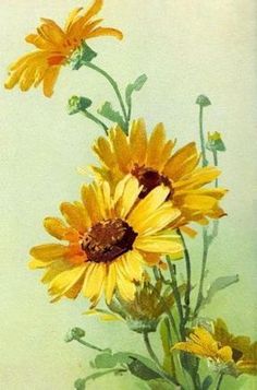 two yellow sunflowers in a vase on a green tablecloth with watercolng