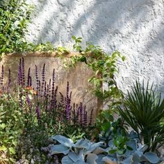 an assortment of plants and flowers in front of a building