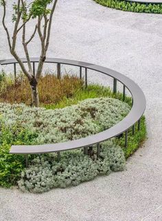 the circular bench is surrounded by plants and trees