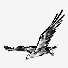 a drawing of a bird flying in the sky