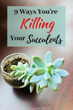 a succulent plant sitting on top of a wooden table with the words 9 ways you