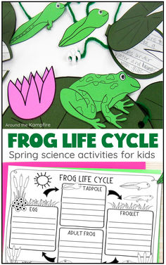 frog life cycle craft and worksheet Fun Stem Activities