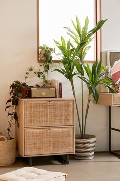 a living room with a plant and other items on the table in front of a mirror