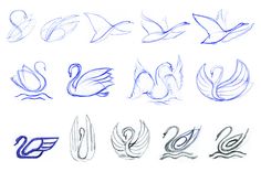 several different types of birds drawn in blue and gray ink on white paper with the words swan