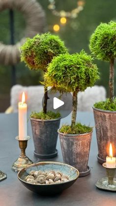 a table topped with potted plants and candles