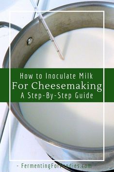 how to include milk for cheesemaking in a step - by - step guide