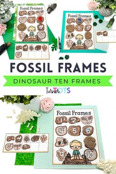 the fossil frames are shown with flowers and other items to make them look like they have been