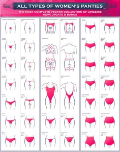 the different types of women's panties are shown in this chart, which shows how to