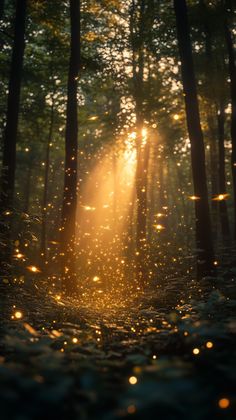 Start your day with the magic of nature! 🌅✨ This tranquil forest scene at sunrise, with golden light filtering through the trees and fireflies dancing in the mist, will bring peace and beauty to your screen. Let nature's magic inspire you. 🌿💫

#MagicalForest, #NatureSunrise, #ForestMagic, #GoldenHour, #TranquilNature, #PeacefulMorning, #NatureVibes, #ForestDreams, #InstaNature, #NatureInspired, #Serenity, #MorningVibes, #GreenLife, #CalmingNature, #NaturalBeauty, #FeelThePeace, #GoodVibes, #N Forest Lights, Nature Light, Bright Light Aesthetic, Calm Nature Aesthetic, Forest Lighting, Cozy Forest, Nature Magic, Sunlight Aesthetic, Serene Aesthetic