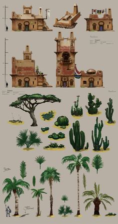 an image of different types of plants and trees in the desert, including palm trees