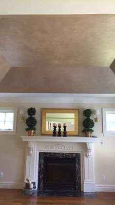 an empty living room with a fireplace and potted plants on top of the mantle