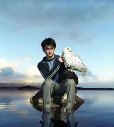 a boy sitting on a rock with an owl