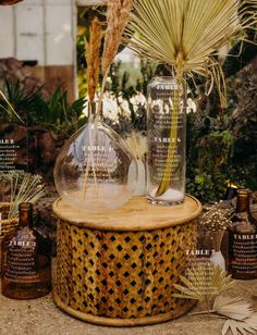 there are two vases with plants in them on top of a table next to other items