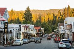 cars are driving down the street in front of buildings and trees with yellow leaves on them