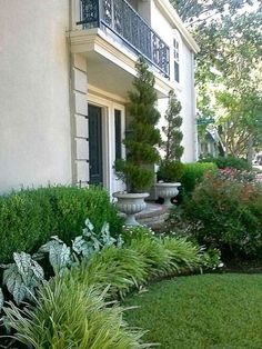 a white house with lots of plants in the front yard and bushes on either side