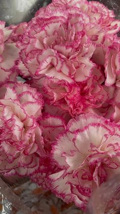 pink and white carnations in a clear vase