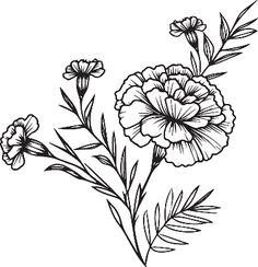 flowers drawn by hand on a white background