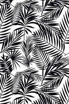 black and white palm leaves are shown in this seamlessly pattern on a white background