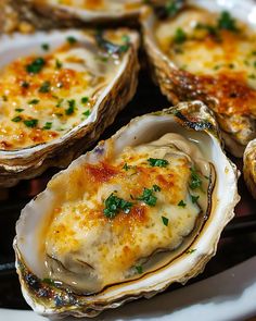 several oysters with cheese and parsley on a white plate, ready to be eaten