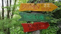 wooden signs pointing in different directions on a tree with green leaves and trees behind them