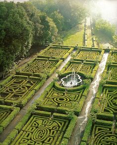 an aerial view of a garden with many hedges and water feature in the center surrounded by trees