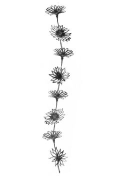 a black and white drawing of flowers