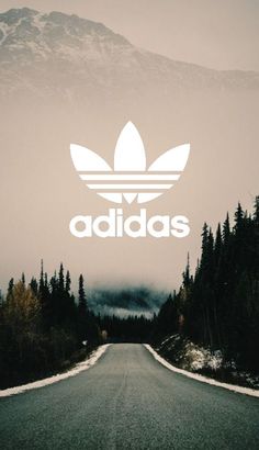 the adidas logo is shown in white on a dark background with trees and fog