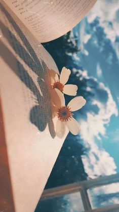 two flowers are placed on top of an open book, with the sky in the background