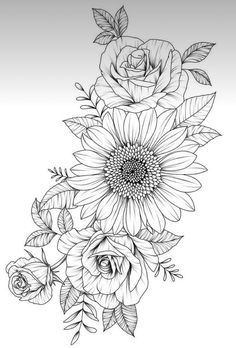 black and white drawing of sunflowers with leaves on the bottom, in a line art style