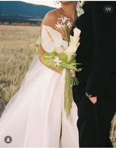 a bride and groom are standing in a field