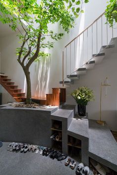 there is a tree in the middle of this room with shoes on the floor and stairs leading up to it