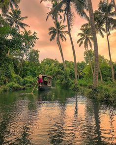 a person riding in a boat on a river surrounded by palm trees and other greenery