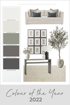 a living room color scheme with gray and white furniture, black accents, and neutral colors